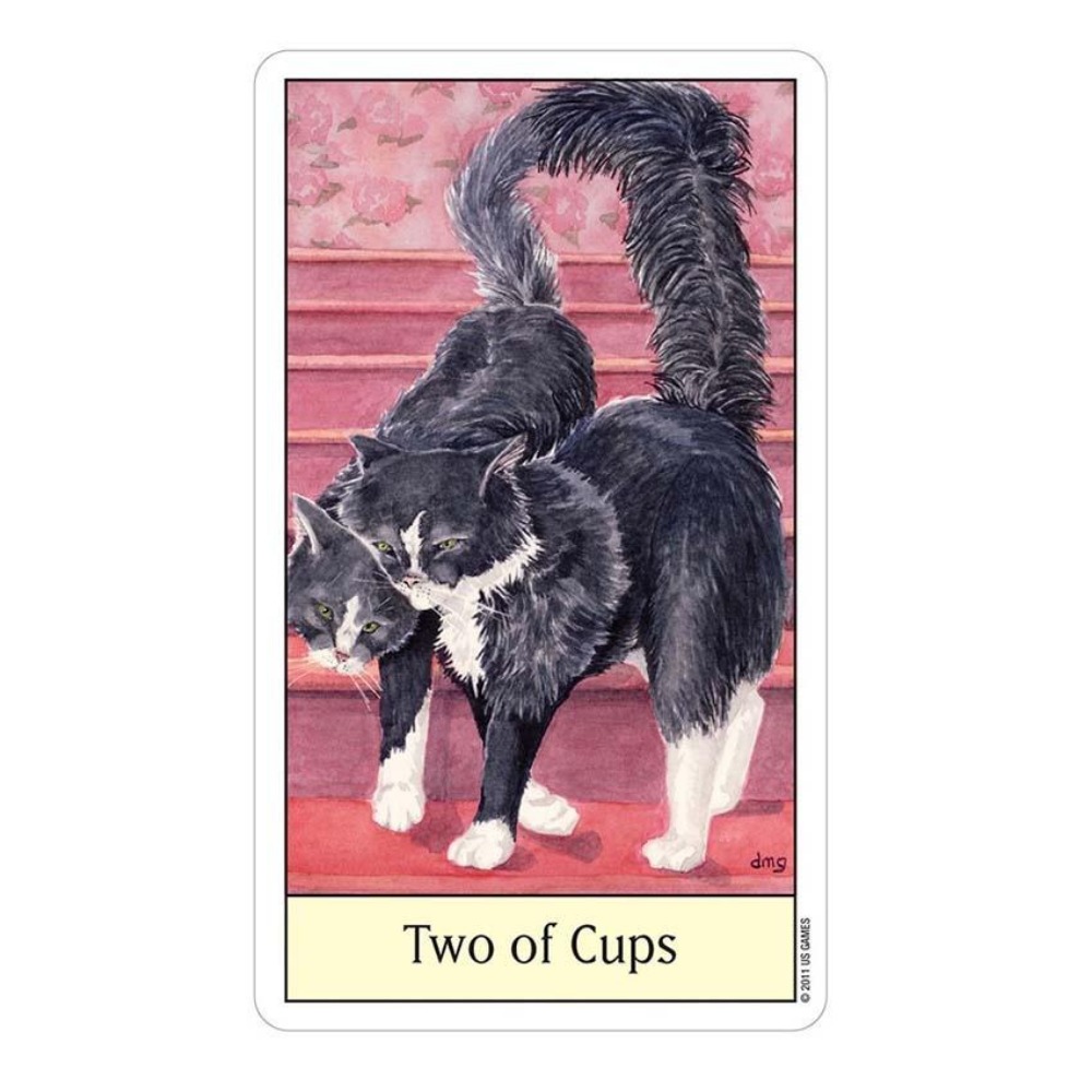 Cats Eye Tarot 12x7 cm Kartens – Tarot Deck With Guidebook Bewertung und Preis