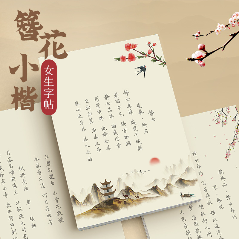 Haarnadelblumen-Kalligrafie-Üb – Chinese Calligraphy Practice Book Bewertung und Preis