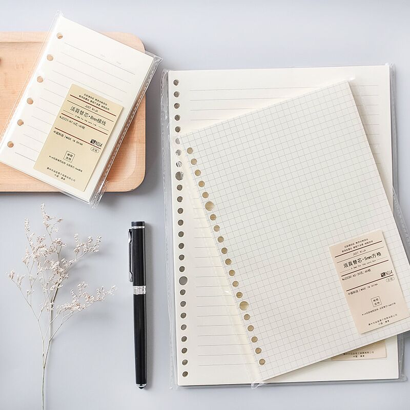 A5 B5 20 Löcher Loseblatt-Noti – A5 Spiral Dotted Grid Notebook Bewertung und Preis