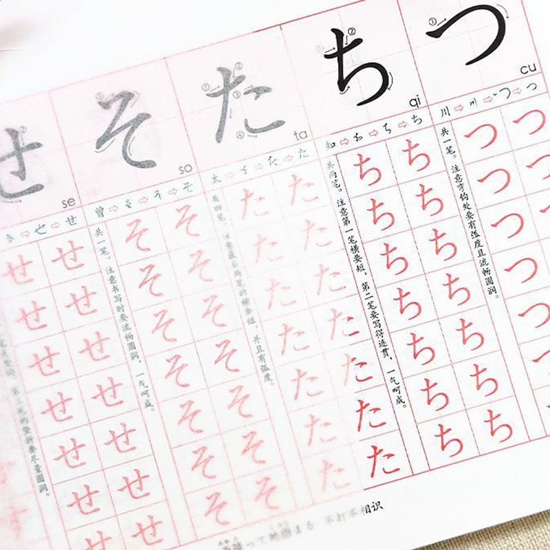 Zero Beginner Japanisches Hira – Chinese Calligraphy Practice Book Bewertung und Preis